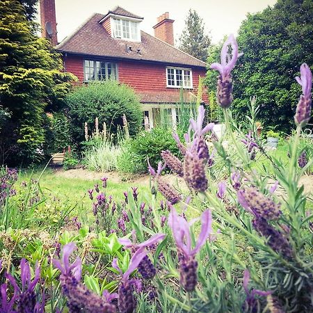 Rosemead Guest House Claygate Exterior foto