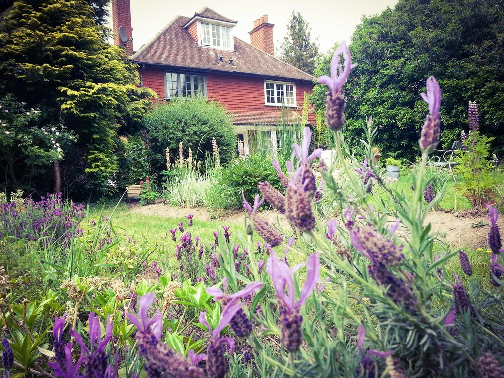 Rosemead Guest House Claygate Exterior foto